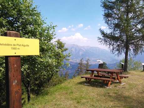 Boucle de Plat Aiguille