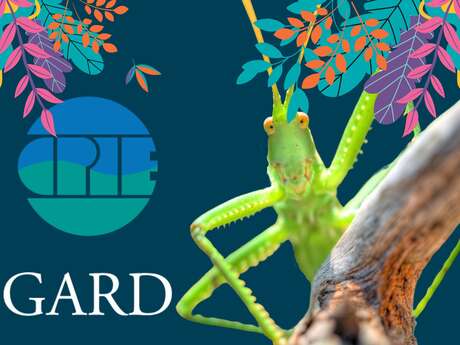 Jeudi de la Guinguette