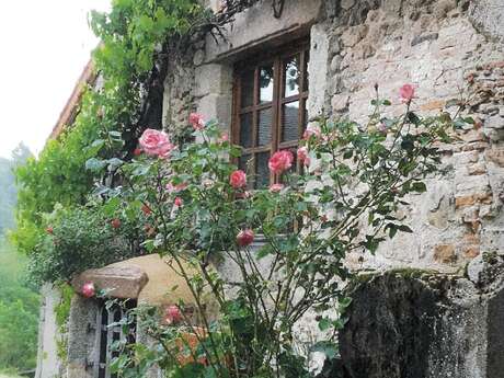 Les puits, au fil de I'eau