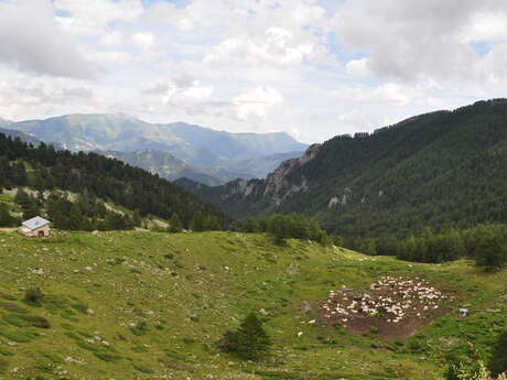 Randonnée VTT(AE) Col de Tende - Castérino Haute Route du Sel Menton Riviera & Merveilles