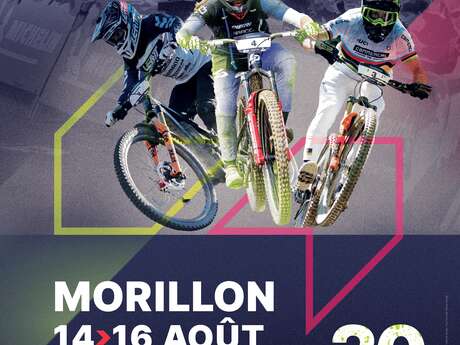 UCI Enduro World Cup