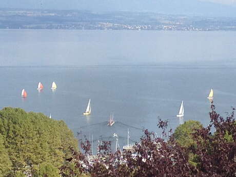 Le belvédère