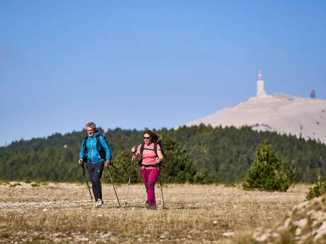 BÉDOIN - Les crêtes du Mont Ventoux