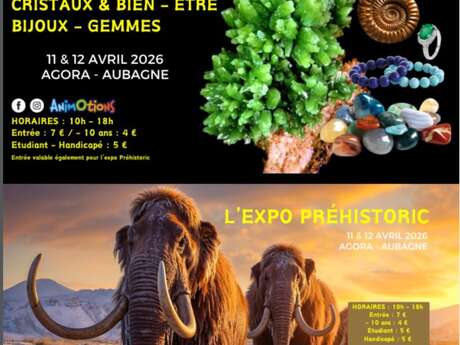 5e salon des minéraux, fossiles et gemmes