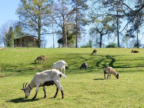 Ferme d'animation Domaine de la Doux