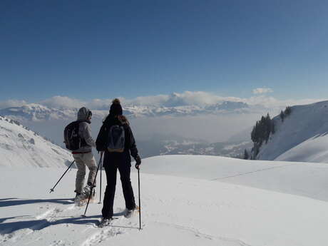 Sortie accompagnée en raquettes à neige : Un voyage au rythme des flocons
