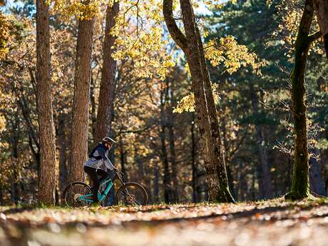 SAULT - Le Bois du Défends à VTT