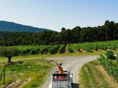 Route des vins Golfe de Saint-Tropez