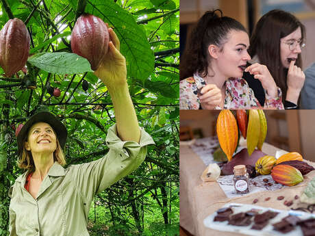 L'Expérience de dégustation immersive "Cacao & Chocolat"
