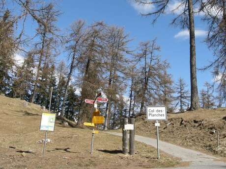 Col des Planches Bike N°778