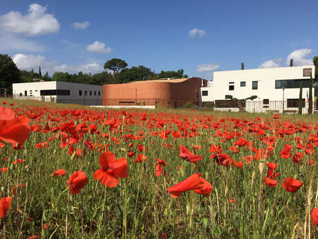 Portes Ouvertes - École Internationale IBS of Provence