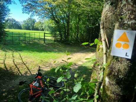 Circuit VTT-VTC n°7 (rouge) - Les Grandes terres de Marboz