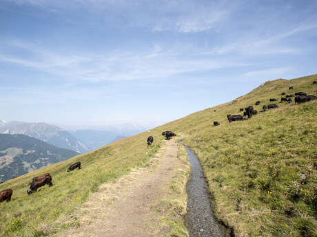 Tour des bisses