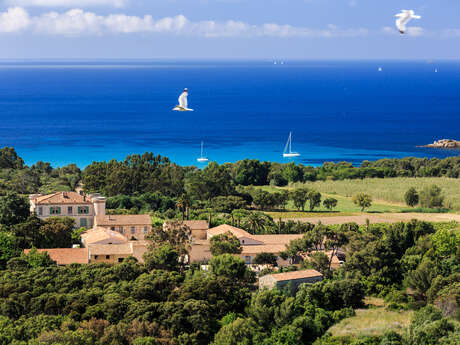 Vignobles en Scène - Vignobles de Provence et de Méditerranée