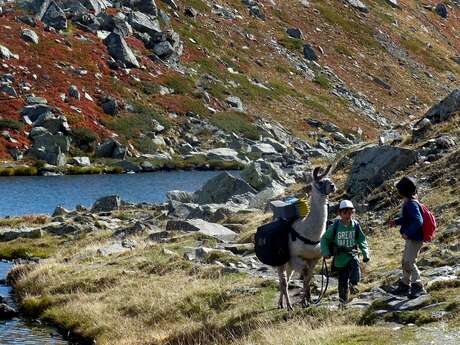 Randonnée et Trek avec lamas porteurs