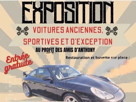 Voitures anciennes, sportives et d'exception - Exposition