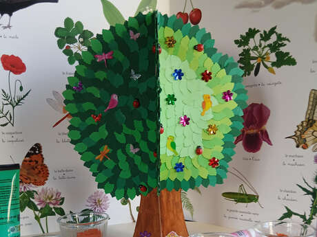 Atelier créatif autour de la nature