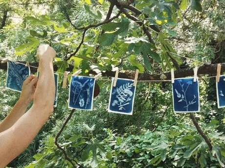 Viens voir la vie en bleu : atelier cyanotype