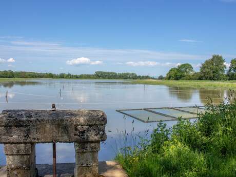 Ain by bike - From Châtillon-sur-Chalaronne to Trévoux