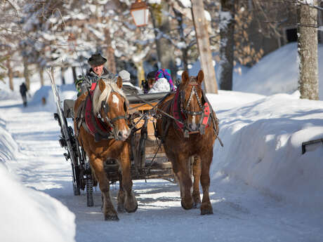 Découverte de Megève en calèche