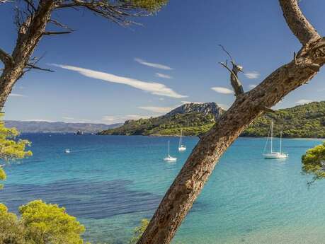 Conference: ‘The Coastal Moors’