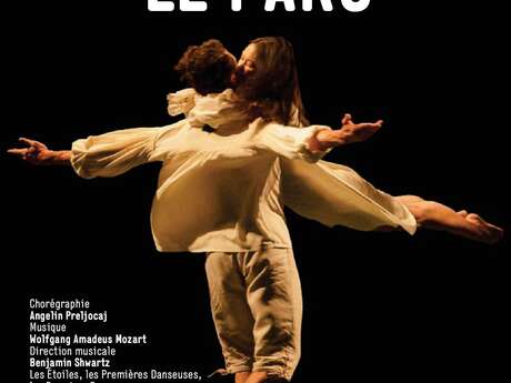 Micro-folie : ballet "Le Parc"