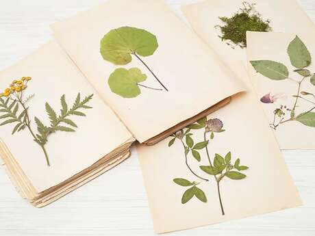 Relier son mini-herbier