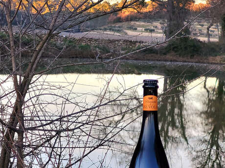 Brasserie de l'âne volant