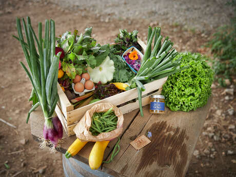 Potagers & Compagnie