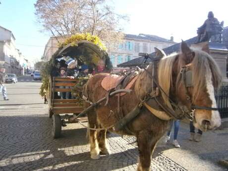 Beaumont de Lomagne - Christmas market