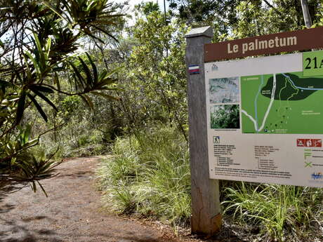 Sentier Palmetum