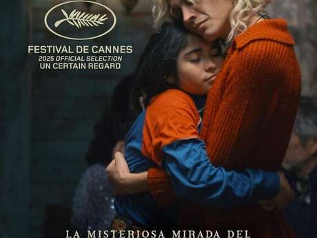 Le mystérieux regard du Flamant Rose