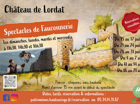 Spectacle de fauconnerie