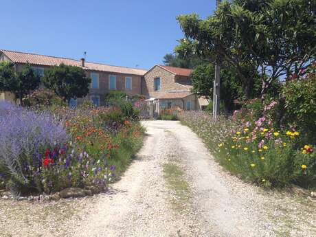 La Maison de Mamou