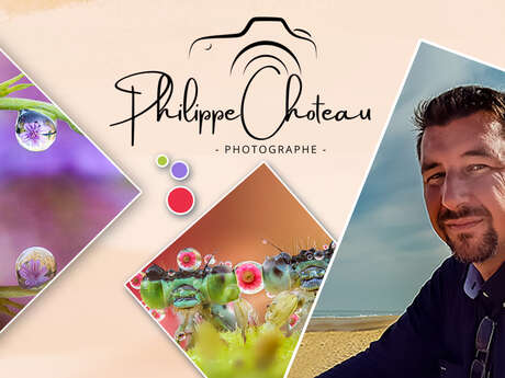 EXPOSITION | Bijoux d'eau sur ailes et pétales