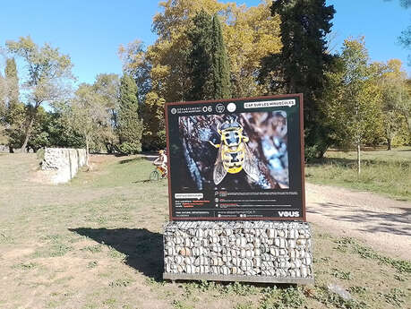 Expo nature « Cap sur les minuscules »