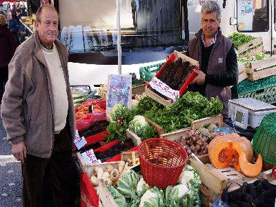M. Crudeli - Betterave longue de Gardanne