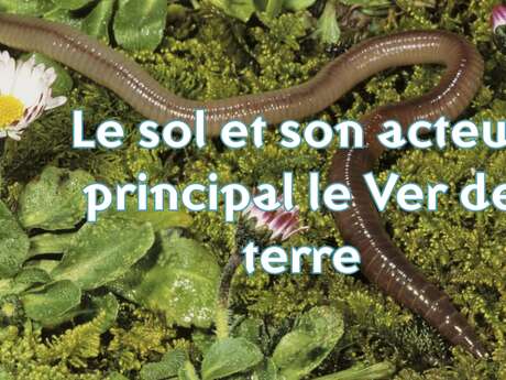 Conférence sur le sol et son acteur principal le Ver de terre