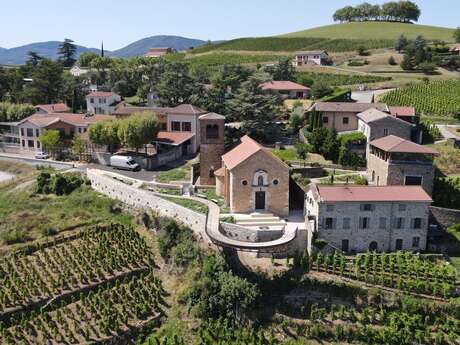 Visite guidée dans le vignoble : le Rhône et la vigne, une histoire partagée