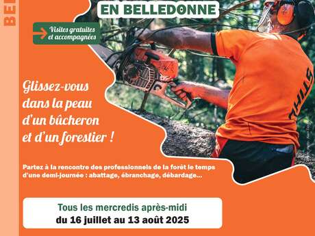 Vis ma vie de bûcheron - massif de Belledonne
