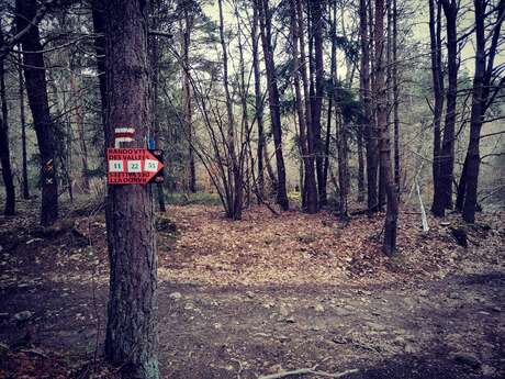4ème édition de la Rando VTT des Vallées et trail off
