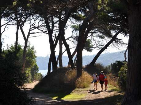 Le Méditerranée campsite