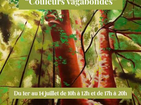 "Couleurs vagabondes" exposition de Valérie Peuch-Spencer - ACCA