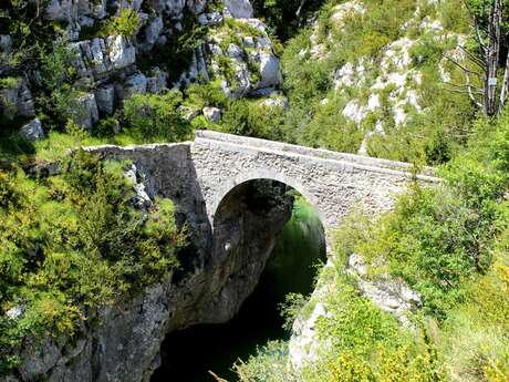 COMPS-SUR-ARTUBY - Le Mauvais Pont