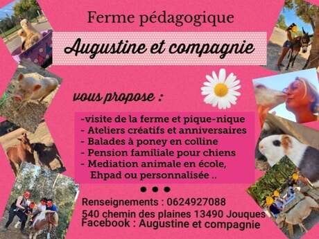 Augustine & Compagnie - Méditation animale