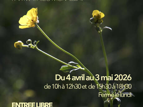 MMM Exposition - Vente de photographies