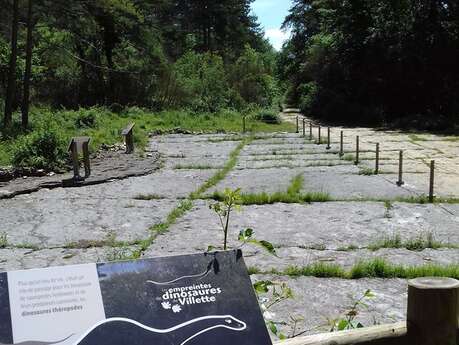 Les chemins des dinosaures de Villette - Balade géologique sur les falaises de Bérranger