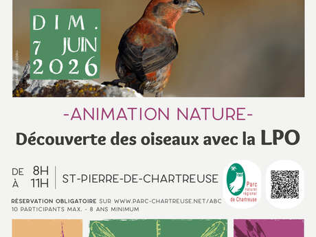 Initiation à l'ornithologie avec la LPO