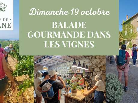 Balade dans les vignes et dégustation gourmande au Domaine de Suriane