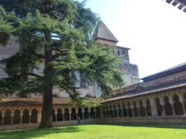 Concert | Diagonales d'été Organum